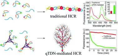 Graphical abstract: Three-dimensional DNA nanostructures to improve the hyperbranched hybridization chain reaction