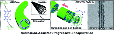 Graphical abstract: Threading carbon nanotubes through a self-assembled nanotube