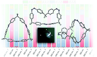 Graphical abstract: Selective switching of multiple azobenzenes