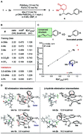 Graphical abstract: Palladium-catalyzed enantioselective alkenylation of alkenylbenzene derivatives