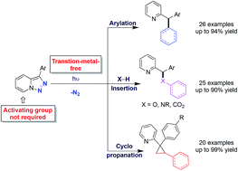 Graphical abstract: Light-induced metal-free transformations of unactivated pyridotriazoles