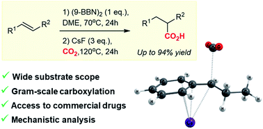 Graphical abstract: Caesium fluoride-mediated hydrocarboxylation of alkenes and allenes: scope and mechanistic insights