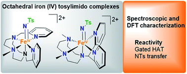 Graphical abstract: Octahedral iron(iv)–tosylimido complexes exhibiting single electron-oxidation reactivity