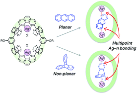 Graphical abstract: Molecular recognition of planar and non-planar aromatic hydrocarbons through multipoint Ag–π bonding in a dinuclear metallo-macrocycle