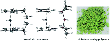 Graphical abstract: Role of torsional strain in the ring-opening polymerisation of low strain [n]nickelocenophanes