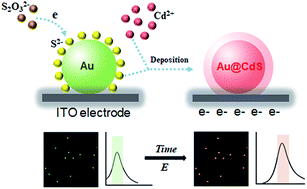 Graphical abstract: Electrochemical synthesis of Au@semiconductor core–shell nanocrystals guided by single particle plasmonic imaging