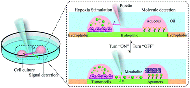 Graphical abstract: An open-space microfluidic chip with fluid walls for online detection of VEGF via rolling circle amplification