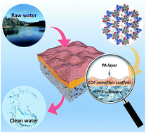 Graphical abstract: Ultra-permeable polyamide membranes harvested by covalent organic framework nanofiber scaffolds: a two-in-one strategy