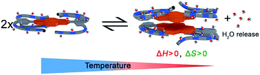 Graphical abstract: Thermodynamic insights into the entropically driven self-assembly of amphiphilic dyes in water