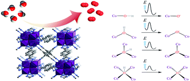 Graphical abstract: An exceptionally stable octacobalt-cluster-based metal–organic framework for enhanced water oxidation catalysis