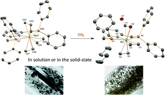 Graphical abstract: Molybdenum and tungsten complexes with carbon dioxide and ethylene ligands