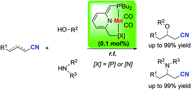 Graphical abstract: Template catalysis by manganese pincer complexes: oxa- and aza-Michael additions to unsaturated nitriles