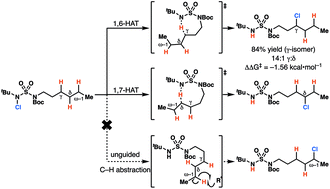 Graphical abstract: Sulfamides direct radical-mediated chlorination of aliphatic C–H bonds