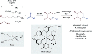 Graphical abstract: Expedient access to saturated nitrogen heterocycles by photoredox cyclization of imino-tethered dihydropyridines