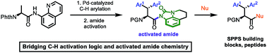Graphical abstract: Directed C(sp3)–H arylation of tryptophan: transformation of the directing group into an activated amide