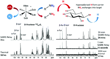 Graphical abstract: Rapid 13C NMR hyperpolarization delivered from para-hydrogen enables the low concentration detection and quantification of sugars