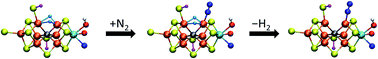 Graphical abstract: A model for dinitrogen binding in the E4 state of nitrogenase