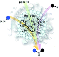 Graphical abstract: Sustainable ppm level palladium-catalyzed aminations in nanoreactors under mild, aqueous conditions