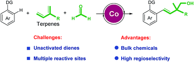 Graphical abstract: Cobalt-catalyzed hydroxymethylarylation of terpenes with formaldehyde and arenes