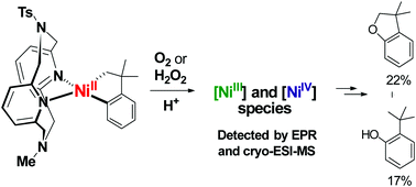 Graphical abstract: Aerobic C–C and C–O bond formation reactions mediated by high-valent nickel species