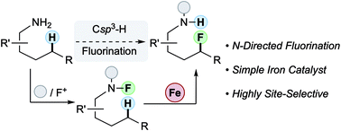 Graphical abstract: N-Directed fluorination of unactivated Csp3–H bonds