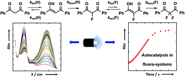 Graphical abstract: Enolization rates control mono- versus di-fluorination of 1,3-dicarbonyl derivatives