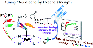 Graphical abstract: A designed second-sphere hydrogen-bond interaction that critically influences the O–O bond activation for heterolytic cleavage in ferric iron–porphyrin complexes