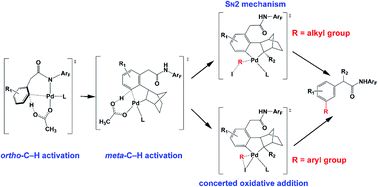Graphical abstract: Reaction mechanism, norbornene and ligand effects, and origins of meta-selectivity of Pd/norbornene-catalyzed C–H activation