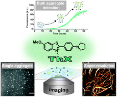 Graphical abstract: ThX – a next-generation probe for the early detection of amyloid aggregates