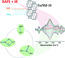 Graphical abstract: Detection of key transient Cu intermediates in SSZ-13 during NH3-SCR deNOx by modulation excitation IR spectroscopy