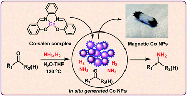 Graphical abstract: Ultra-small cobalt nanoparticles from molecularly-defined Co–salen complexes for catalytic synthesis of amines