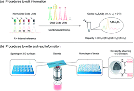 Graphical abstract: Super-capacity information-carrying systems encoded with spontaneous Raman scattering