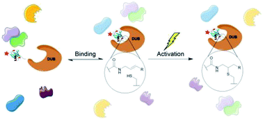 Graphical abstract: Probing enzymatic activity – a radical approach