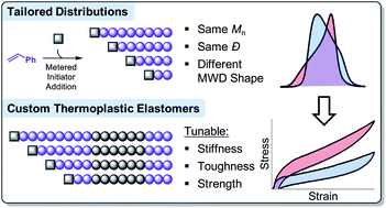 Graphical abstract: Tailor-made thermoplastic elastomers: customisable materials via modulation of molecular weight distributions