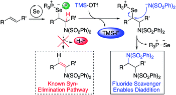 Graphical abstract: Selenophosphoramide-catalyzed diamination and oxyamination of alkenes