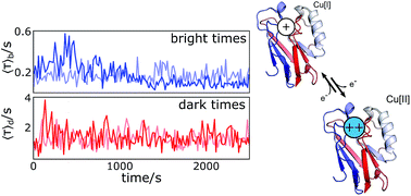 Graphical abstract: Single electron transfer events and dynamical heterogeneity in the small protein azurin from Pseudomonas aeruginosa