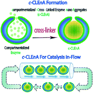 Graphical abstract: Compartmentalized cross-linked enzymatic nano-aggregates (c-CLEnA) for efficient in-flow biocatalysis