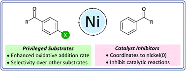 Graphical abstract: Aldehydes and ketones influence reactivity and selectivity in nickel-catalysed Suzuki–Miyaura reactions