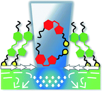 Graphical abstract: Unexpected monolayer-to-bilayer transition of arylazopyrazole surfactants facilitates superior photo-control of fluid interfaces and colloids