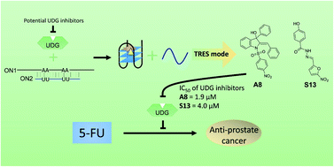 Graphical abstract: A robust photoluminescence screening assay identifies uracil-DNA glycosylase inhibitors against prostate cancer