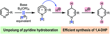 Graphical abstract: An umpolung approach to the hydroboration of pyridines: a novel and efficient synthesis of N-H 1,4-dihydropyridines