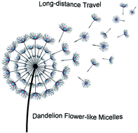 Graphical abstract: Dandelion flower-like micelles