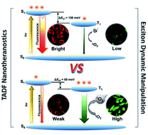 Graphical abstract: Manipulating exciton dynamics of thermally activated delayed fluorescence materials for tuning two-photon nanotheranostics