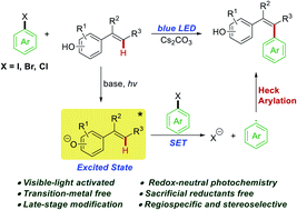 Graphical abstract: Redox-neutral photochemical Heck-type arylation of vinylphenols activated by visible light