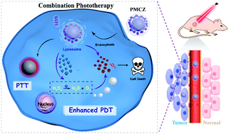 Graphical abstract: An intelligent ZIF-8-gated polydopamine nanoplatform for in vivo cooperatively enhanced combination phototherapy