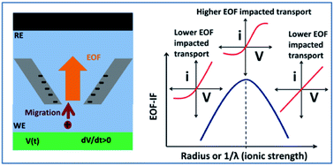 Graphical abstract: Deconvolution of electroosmotic flow in hysteresis ion transport through single asymmetric nanopipettes