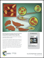 Graphical abstract: Inside back cover