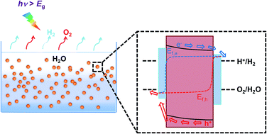 Graphical abstract: Elucidating charge separation in particulate photocatalysts using nearly intrinsic semiconductors with small asymmetric band bending