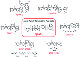 Graphical abstract: Quaternized poly(arylene perfluoroalkylene)s (QPAFs) for alkaline fuel cells – a perspective