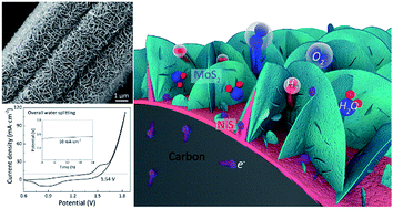 Graphical abstract: NiS–MoS2 hetero-nanosheet array electrocatalysts for efficient overall water splitting